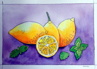 CelinaSchou_Lemons-1200